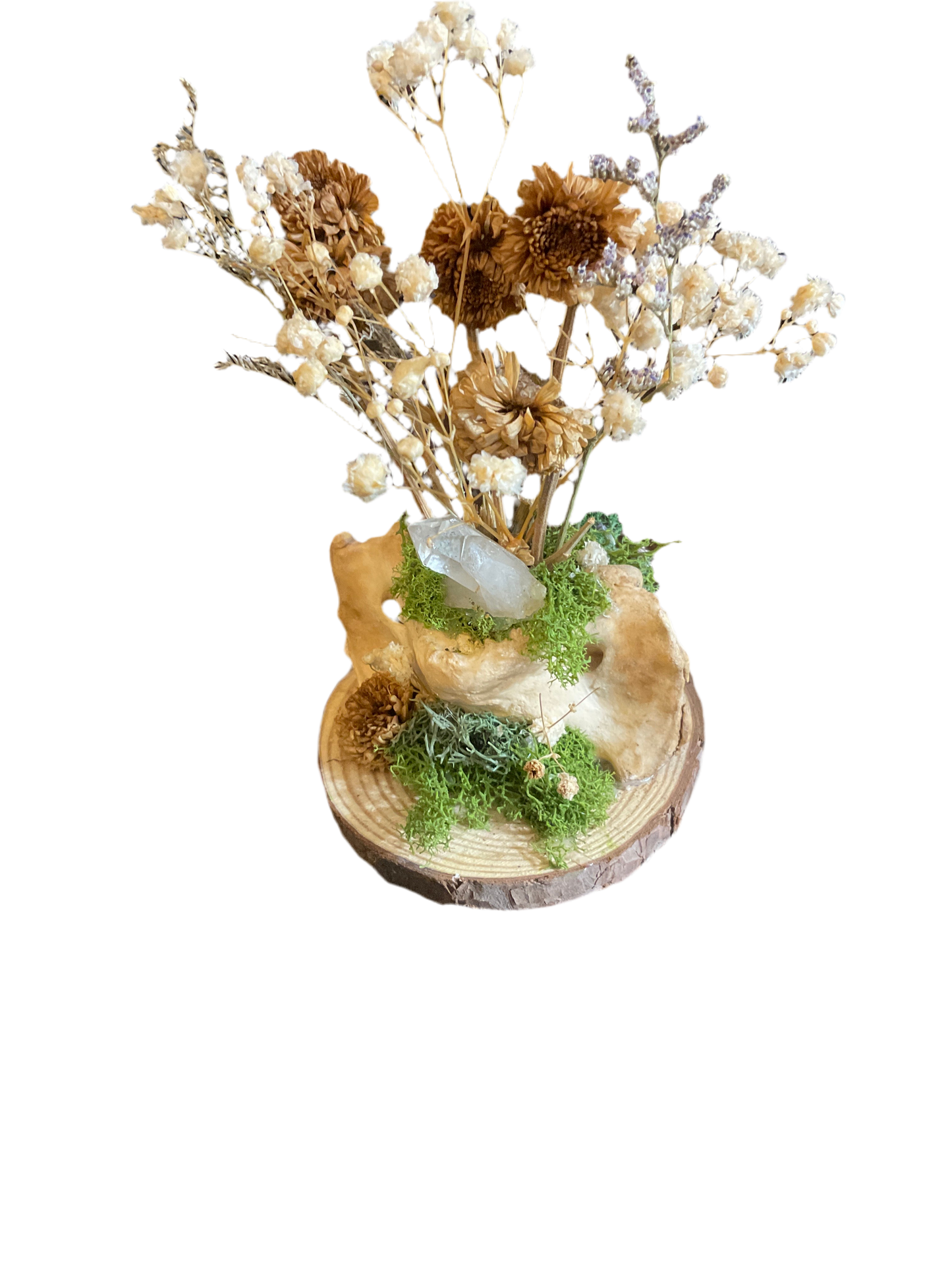 Dried flower vertebrae oddity (SALE)