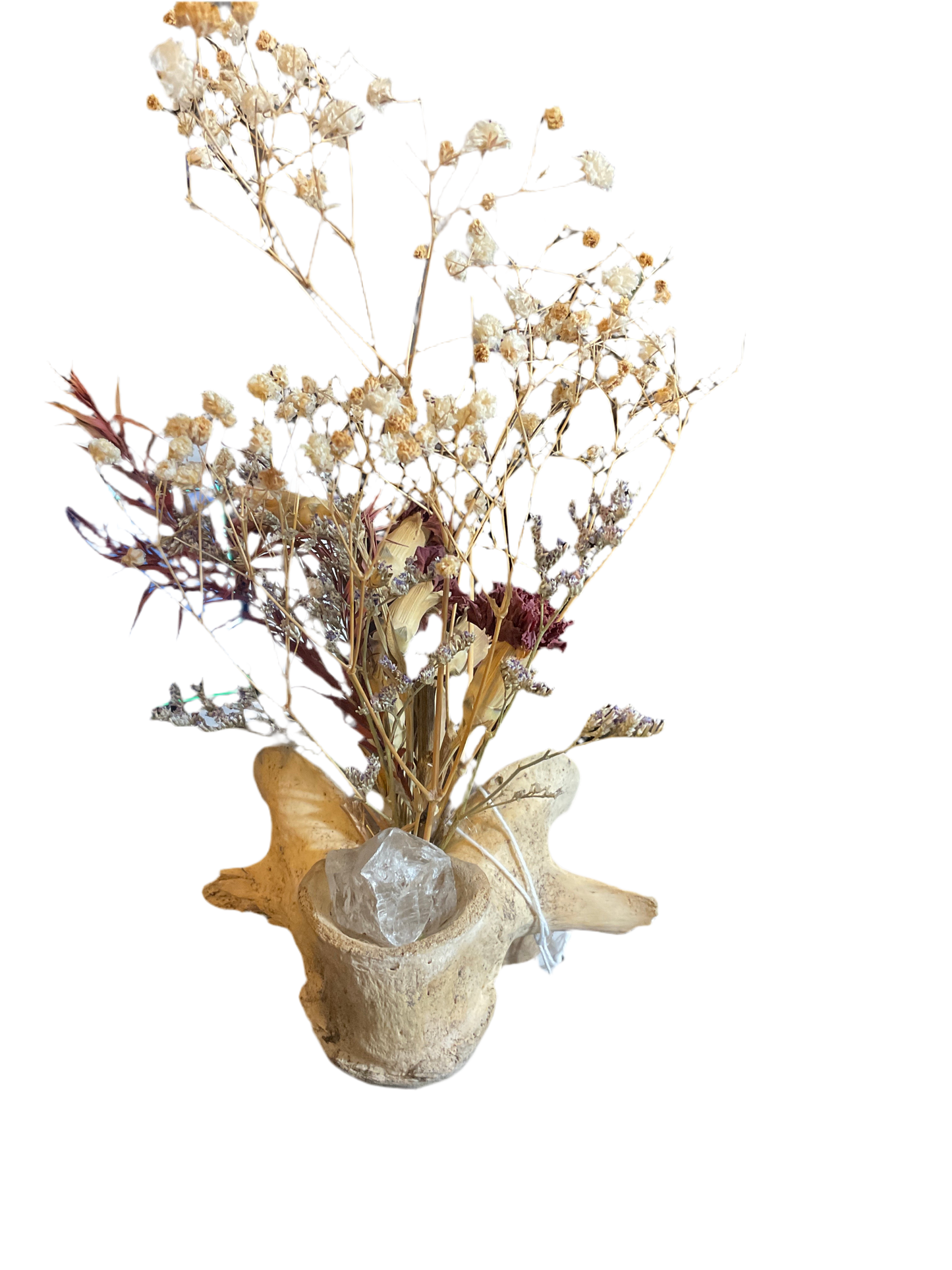 Dried flower large vertebrae oddity (SALE)