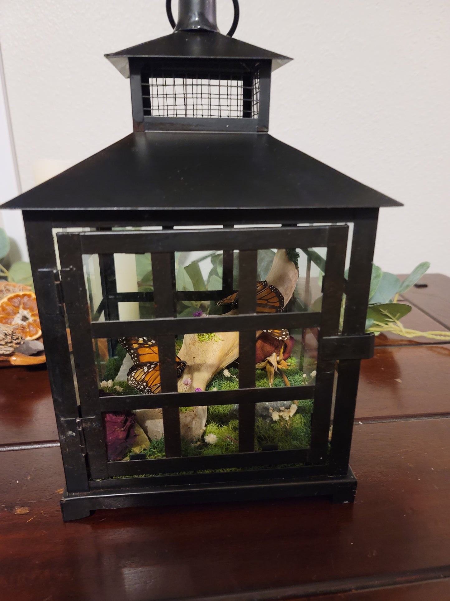 Monarch butterfly Bone Latern
