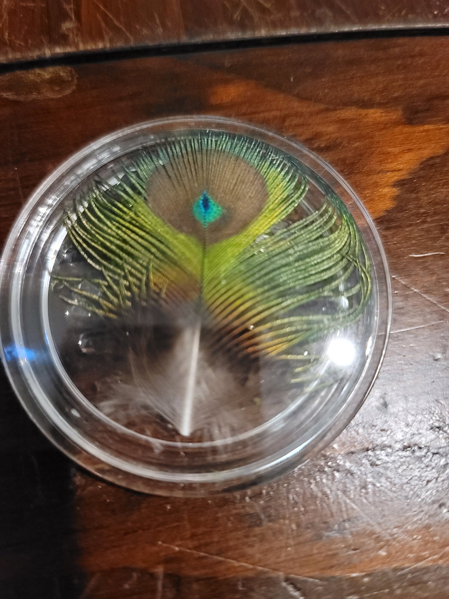 Random Oddity button