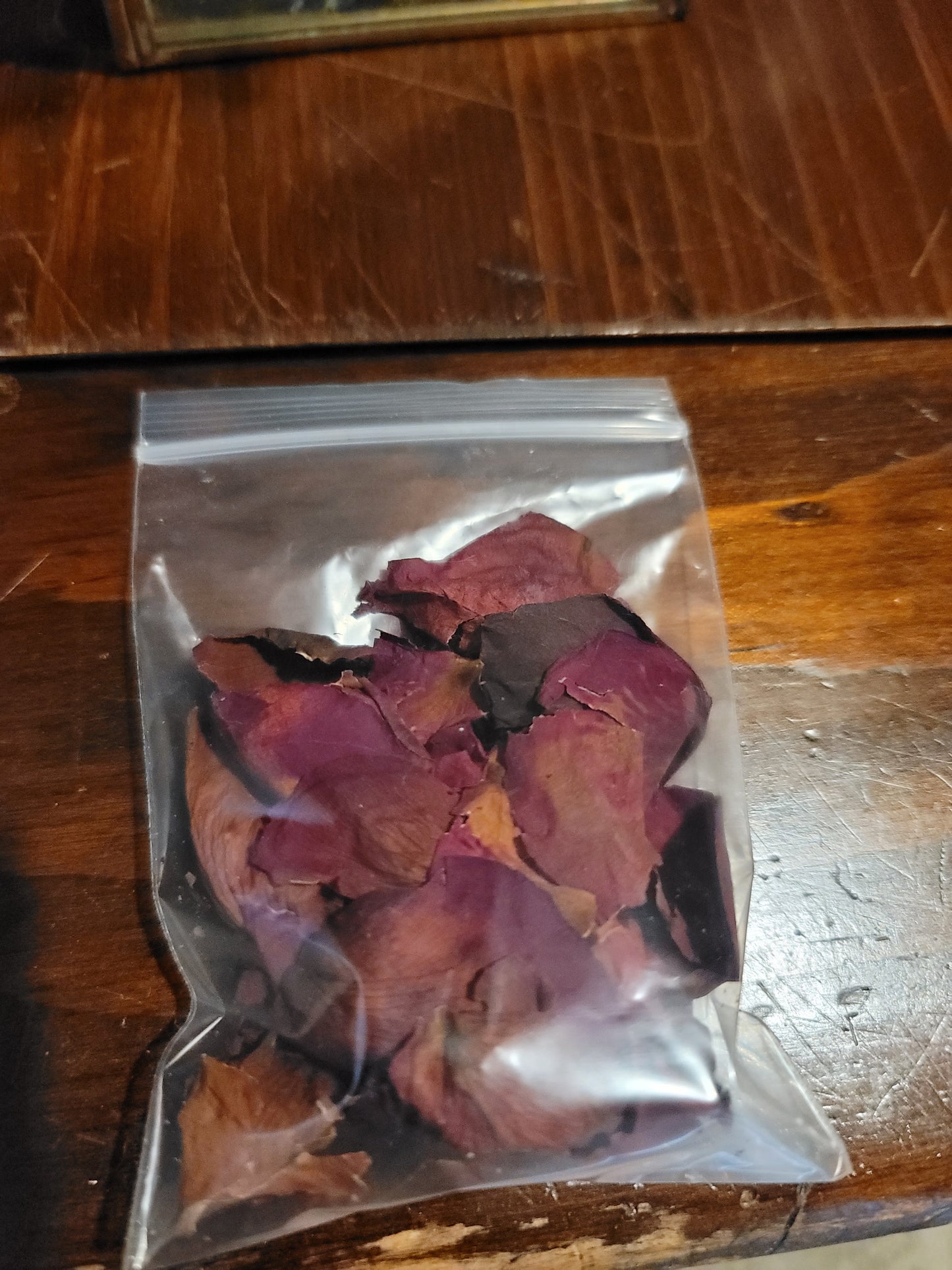 Dried Rose