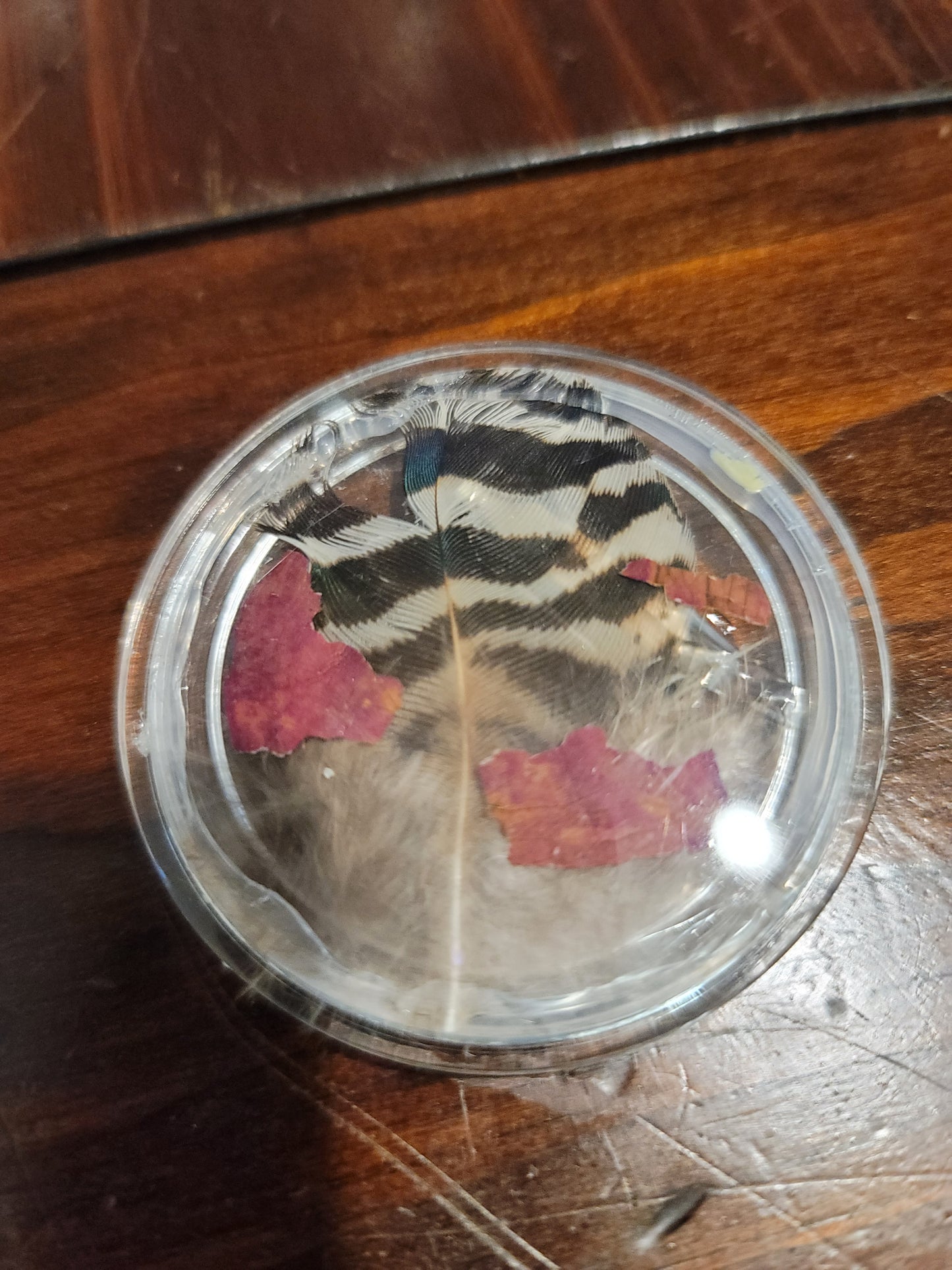 Random Oddity button
