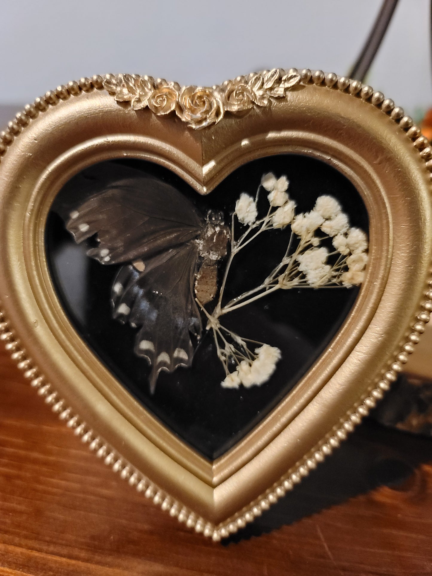 Gold frame butterfly frame