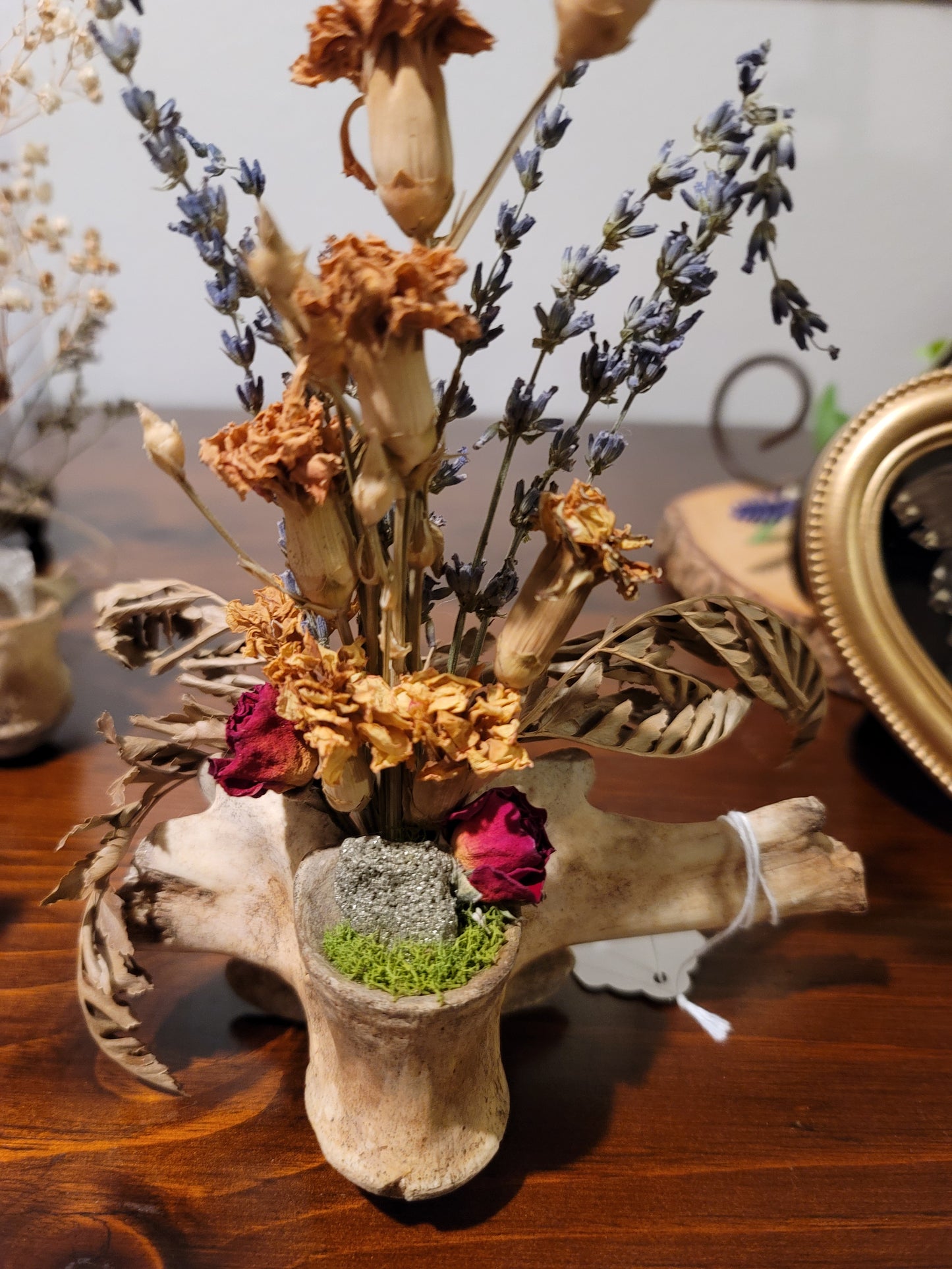 Dried flower large vertebrae oddity