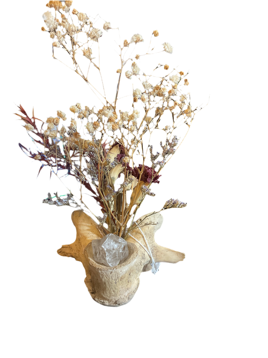 Dried flower large vertebrae oddity (SALE)